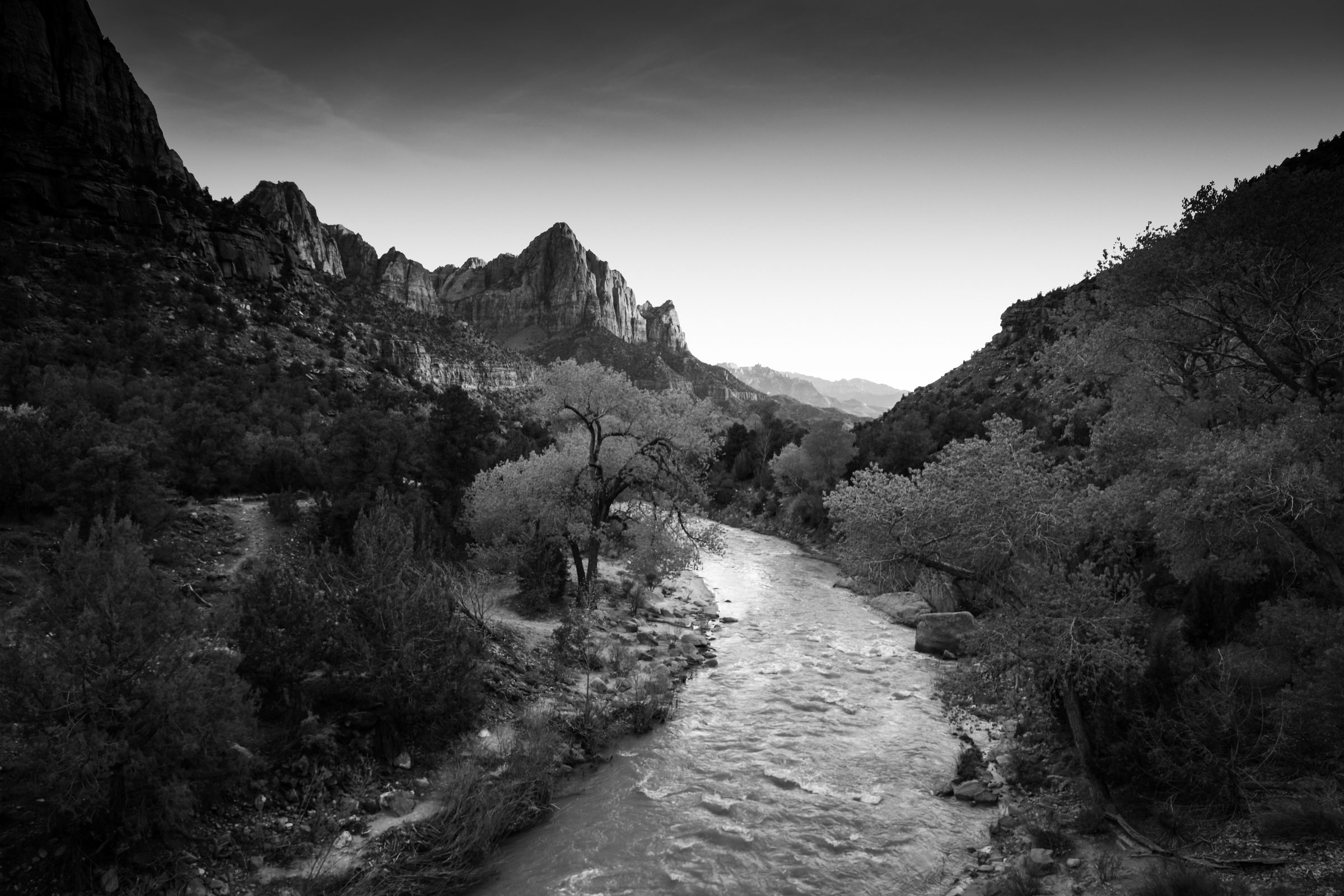 Zion river landscape