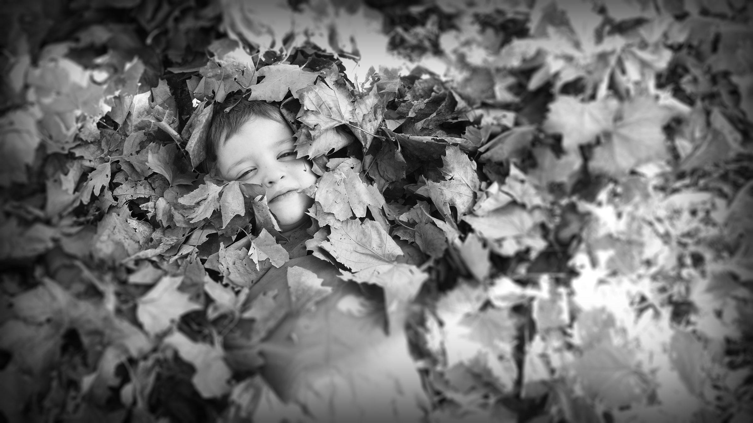 Child in autumn leaves